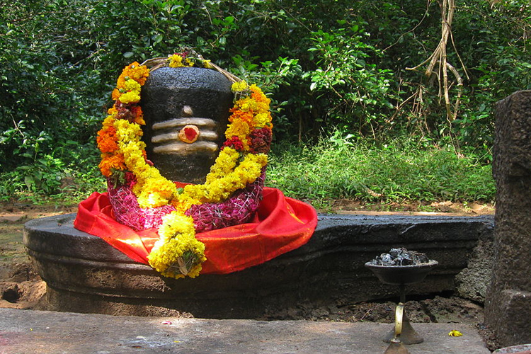 எத்தனை எத்தனை பிறவிகள்!